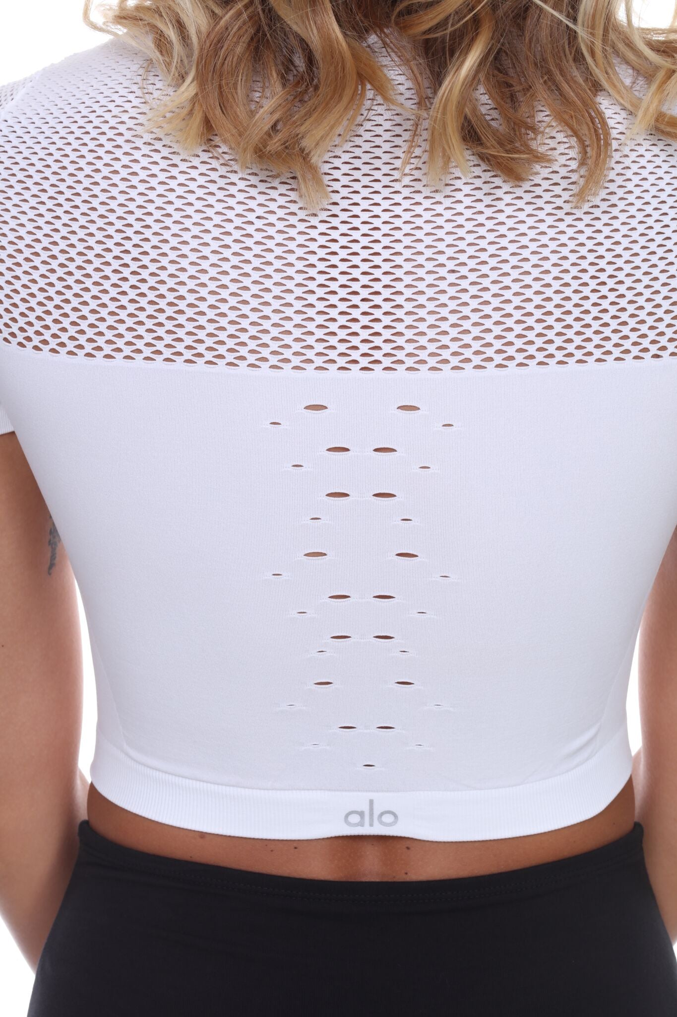 Mesh Crop